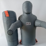 Dummy for training GSChS Dummy for training GSChS