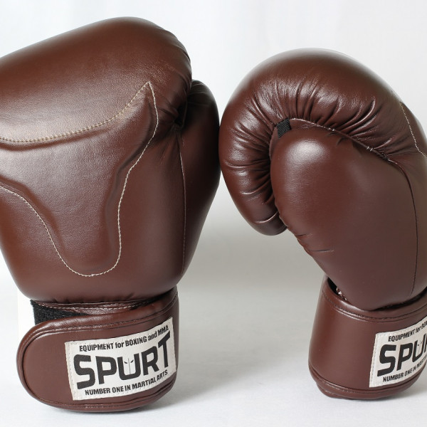 Боксерські рукавички Spurt 10 oz коричневий Bull