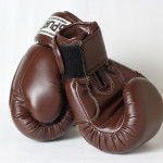 Боксерські рукавички Spurt 10 oz коричневий Bull