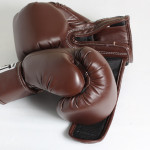 Боксерські рукавички Spurt 10 oz коричневий