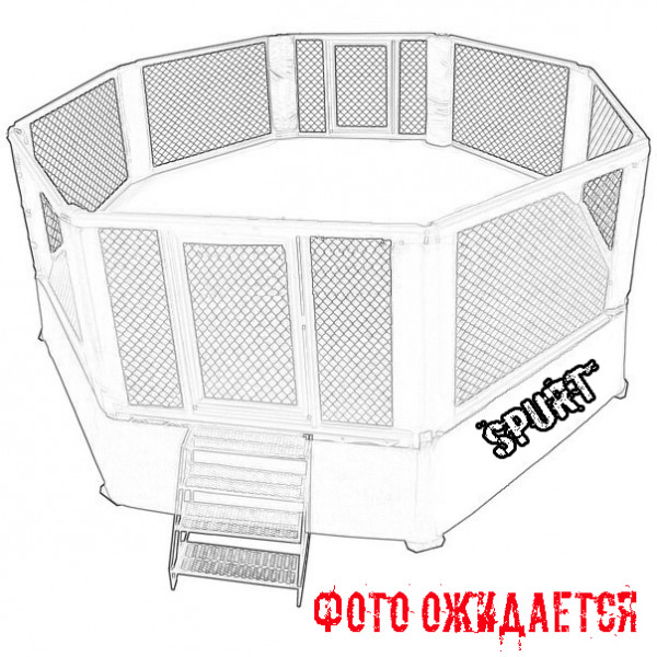 Восьмикутник ММА 6х6 м. висота 2,40м. Восьмикутник ММА 6х6 м. висота 2,40м.