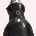 Bag for MMA "Spurt" Bag for MMA "Spurt"