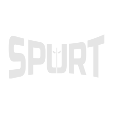 Spurt® CORDURA straight boxing paws